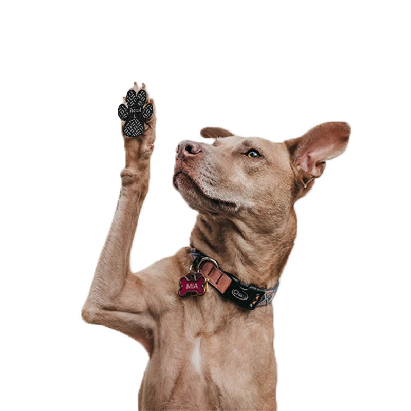 Dog Anti-Slip Paw Grips - Traction Pads for Hardwood Floors