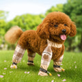 Reflective Waterproof Dog Leg Protectors - cover
