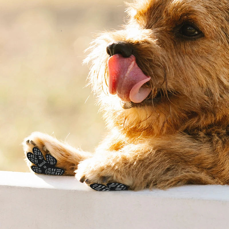 Dog Anti-Slip Paw Grips - Traction Pads for Hardwood Floors