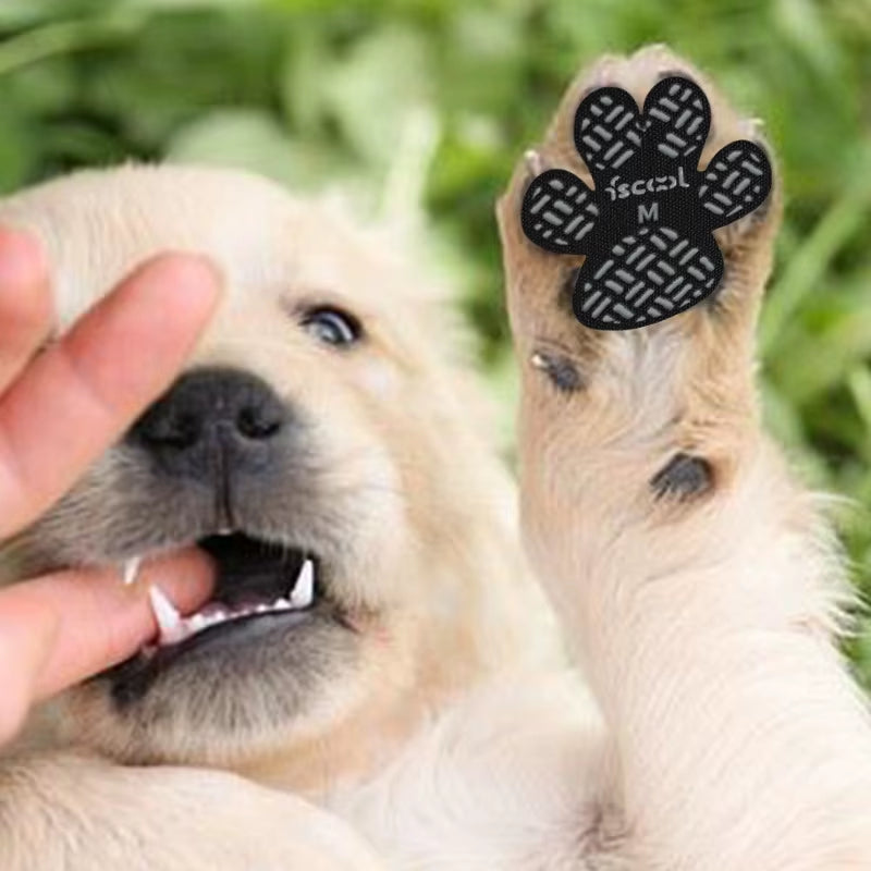 Dog Anti-Slip Paw Grips - Traction Pads for Hardwood Floors