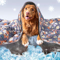 Pet Cooling Mat for Dogs & Cats — Self-Cooling Summer Pad, Washable & Reusable