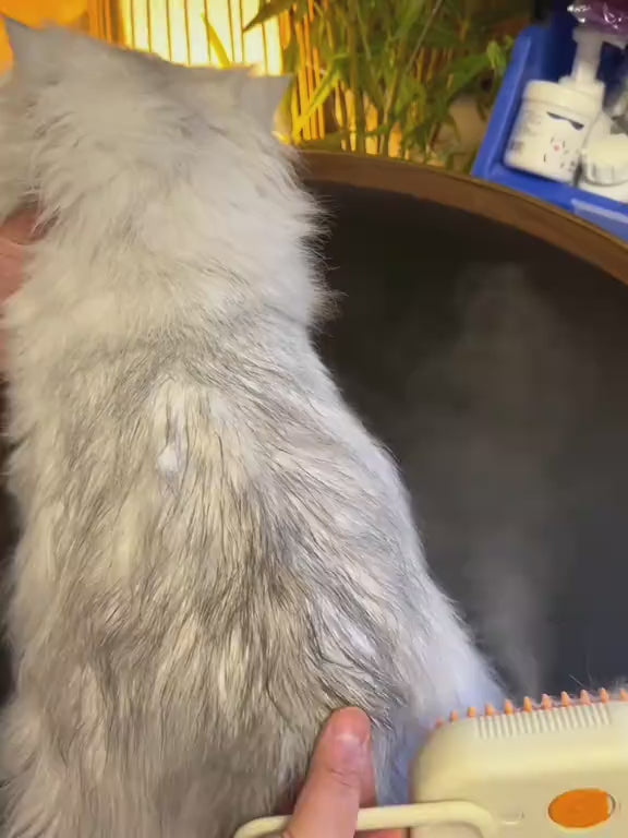 Electric Spray Grooming Comb for Cats & Dogs